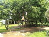 listing thumbnail image 25