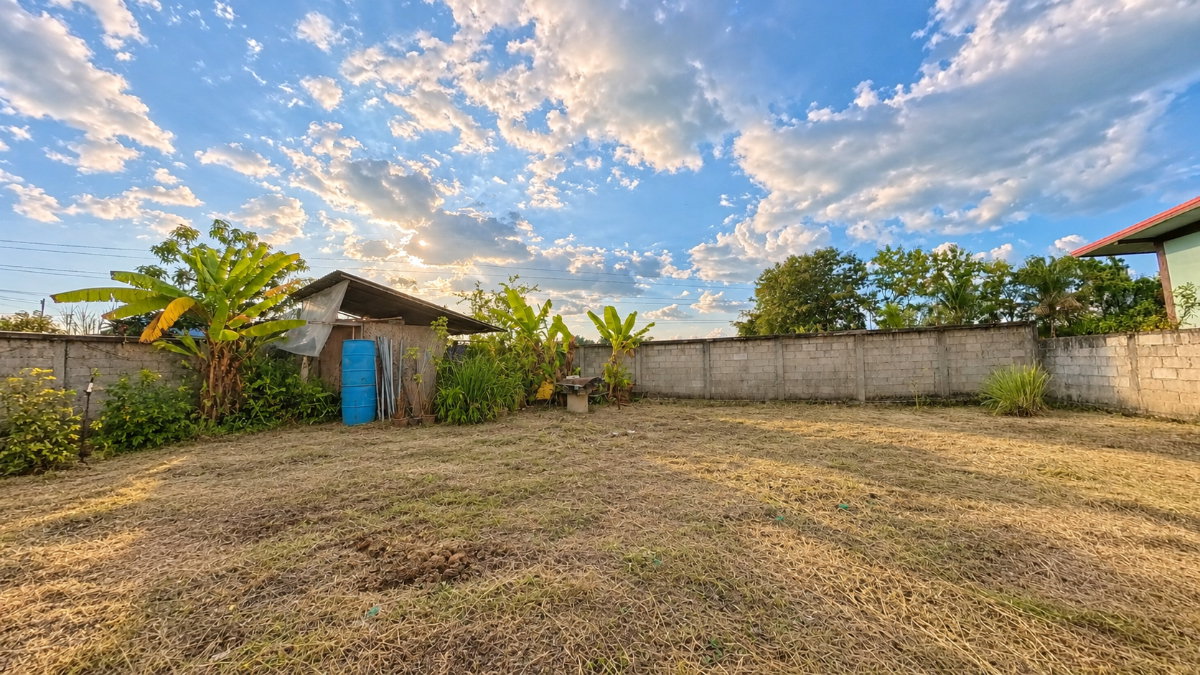 รูป 🏡 ขายที่ดินหนองแก๋ว หางดง เชียงใหม่ | 100 ตร.ว. เพียง 995,000 บาท!☎️ 080-128-5266 - รูปที่ 13/16