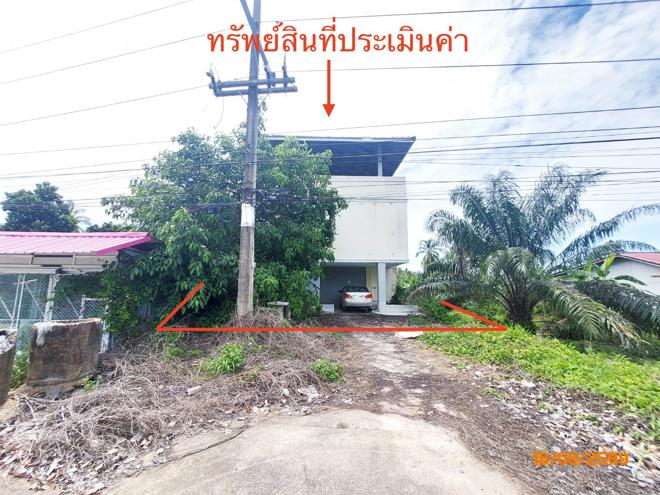 รูป บ้านเดี่ยว 94 ตร.วา ดอนสัก สุราษฎร์ธานี 6.3M - รูปที่ 2/39