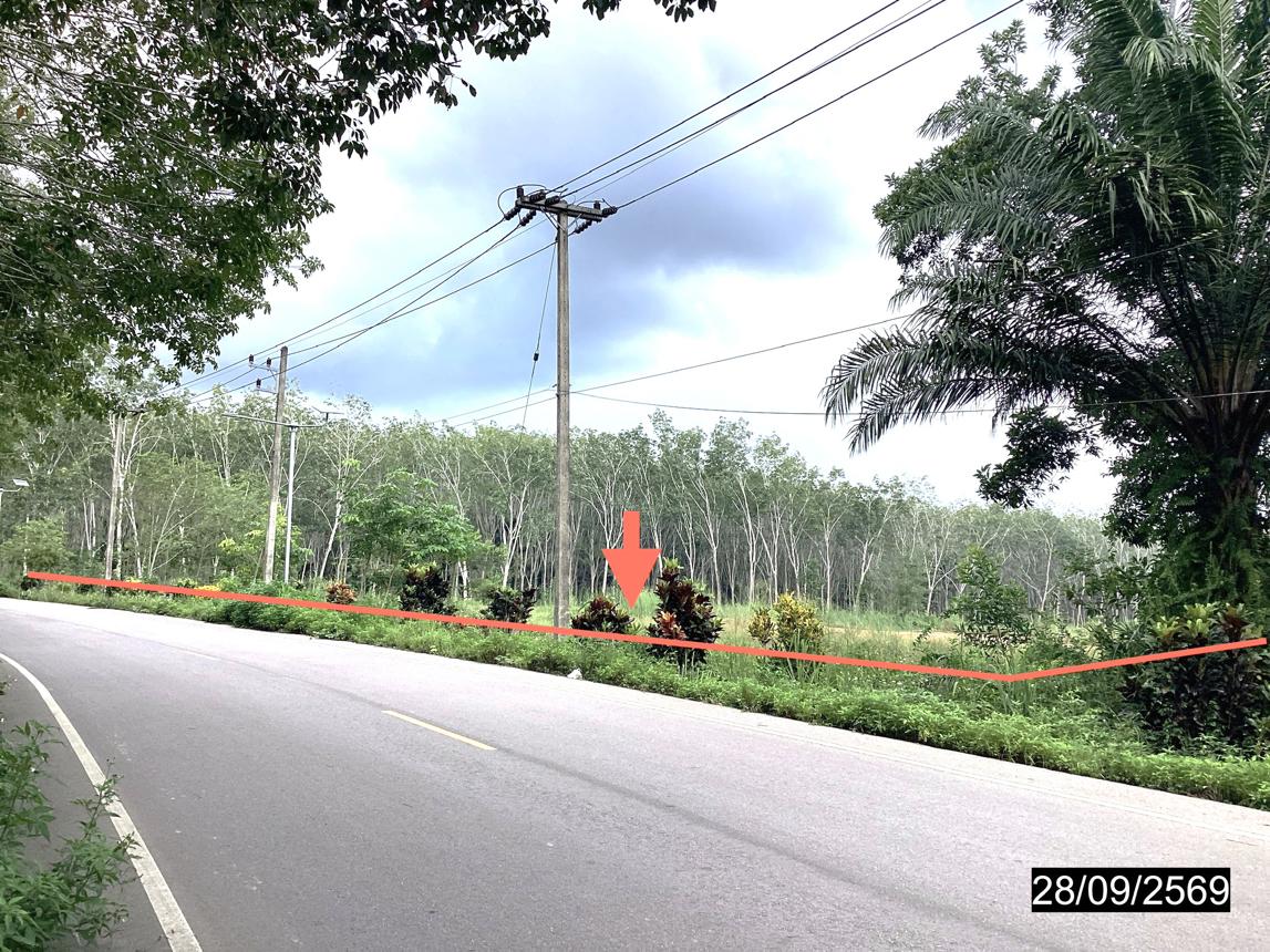 รูป ที่ดินว่างเปล่า 4000 ตร.วา หลังสวน ชุมพร 6.5M - รูปที่ 12/25