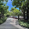 listing thumbnail image 9