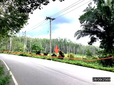 ที่ดินว่างเปล่า 4000 ตร.วา หลังสวน ชุมพร 6.5M