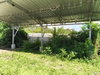listing thumbnail image 25