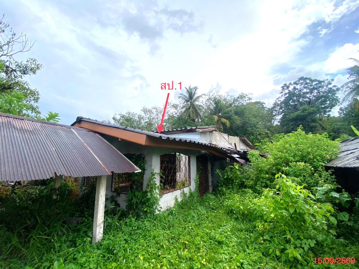 รูป บ้านเดี่ยว 281.7 ตร.วา ป่าบอน พัทลุง 1M - รูปที่ 19/35