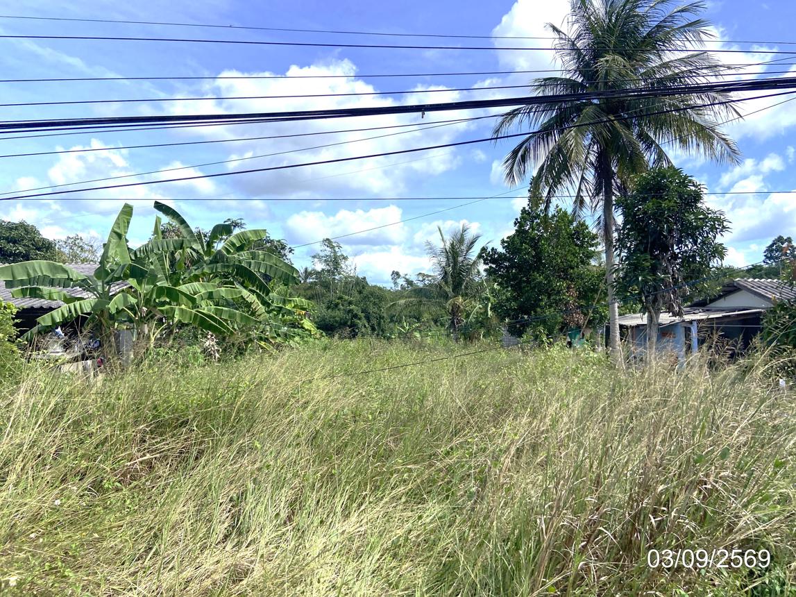 picture LAND 250 Sq.w. Hat Yai Songkhla for 1.9M - 15/25