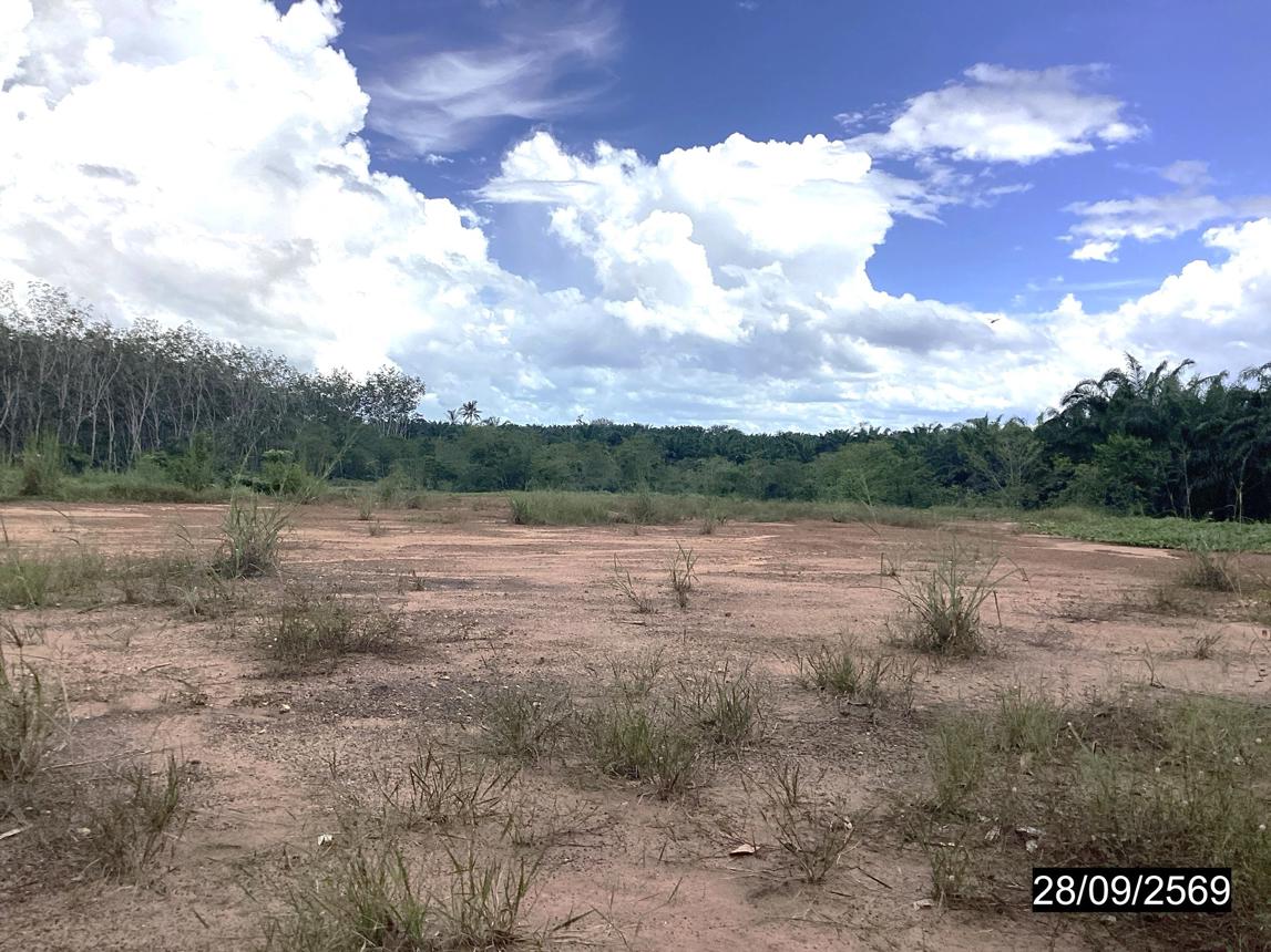 รูป ที่ดินว่างเปล่า 4000 ตร.วา หลังสวน ชุมพร 6.5M - รูปที่ 16/25
