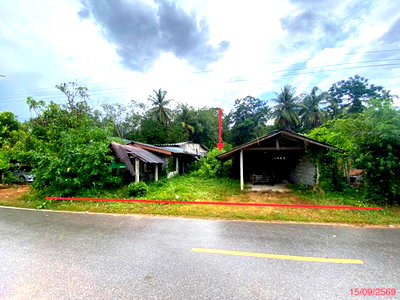 บ้านเดี่ยว พัทลุง : บ้านเดี่ยว 281.7 ตร.วา ป่าบอน พัทลุง 1M