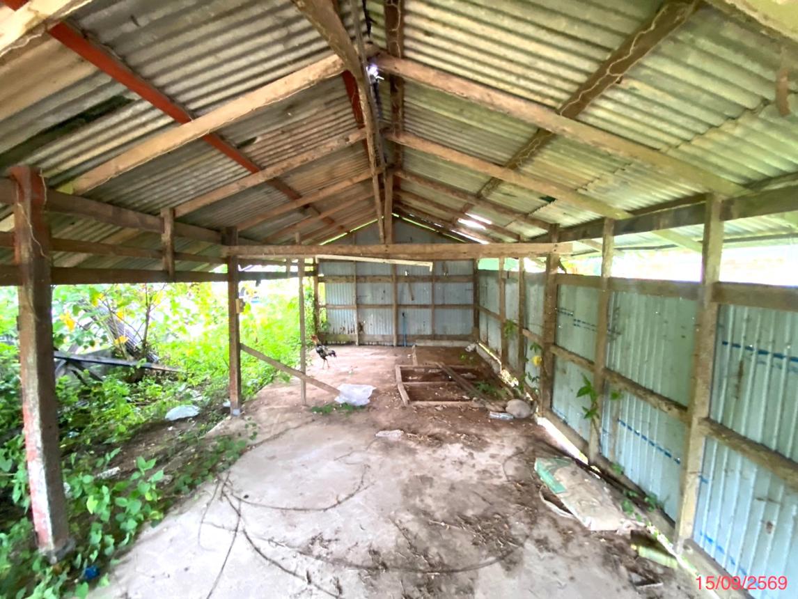 รูป บ้านเดี่ยว 281.7 ตร.วา ป่าบอน พัทลุง 1M - รูปที่ 31/35