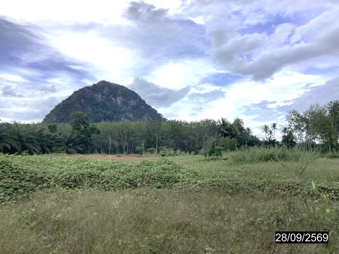 รูป ที่ดินว่างเปล่า 4000 ตร.วา หลังสวน ชุมพร 6.5M - รูปที่ 9/25