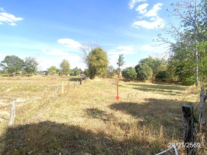 รูป บ้านเดี่ยว 1396 ตร.วา นาเชือก มหาสารคาม 3.2M - รูปที่ 8/25