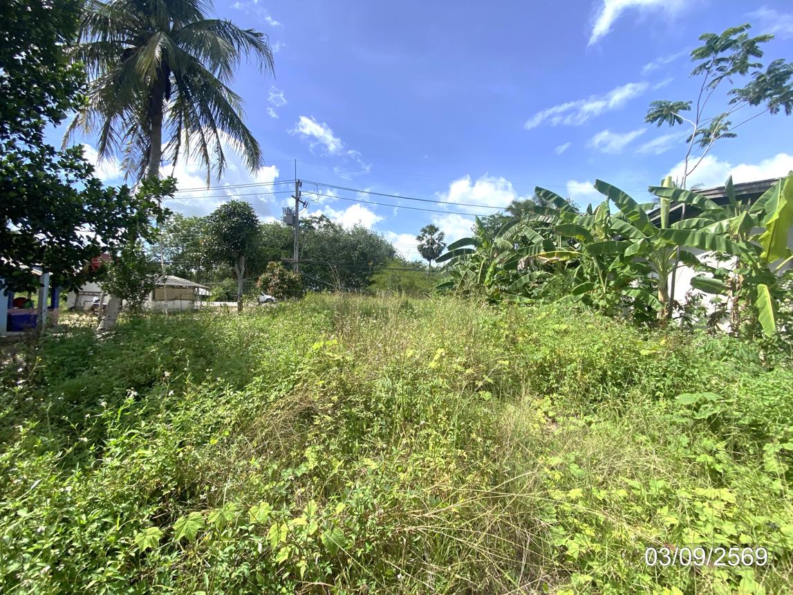 picture LAND 250 Sq.w. Hat Yai Songkhla for 1.9M - 18/25