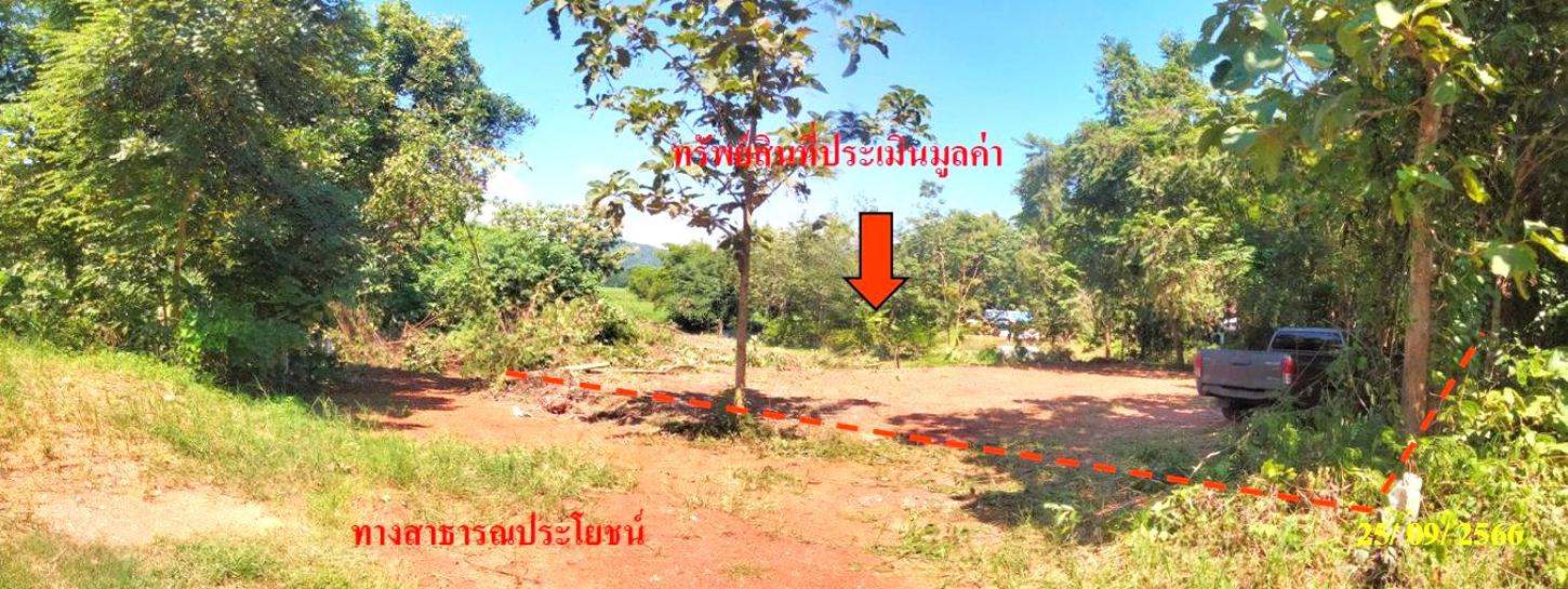 รูป ที่ดินว่างเปล่า 390.4 ตร.วา เมืองเลย เลย 1.4M - รูปที่ 10/17