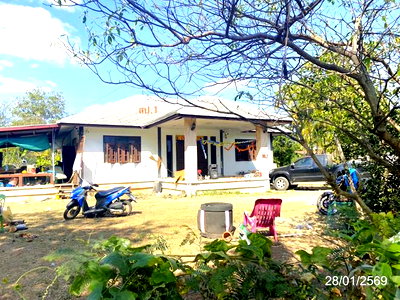บ้านเดี่ยว นาเชือก มหาสารคาม : บ้านเดี่ยว 1396 ตร.วา นาเชือก มหาสารคาม 3.2M