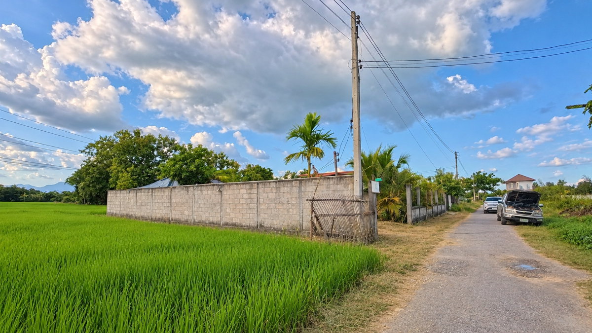 รูป 🏡 ขายที่ดินหนองแก๋ว หางดง เชียงใหม่ | 100 ตร.ว. เพียง 995,000 บาท!☎️ 080-128-5266 - รูปที่ 8/16