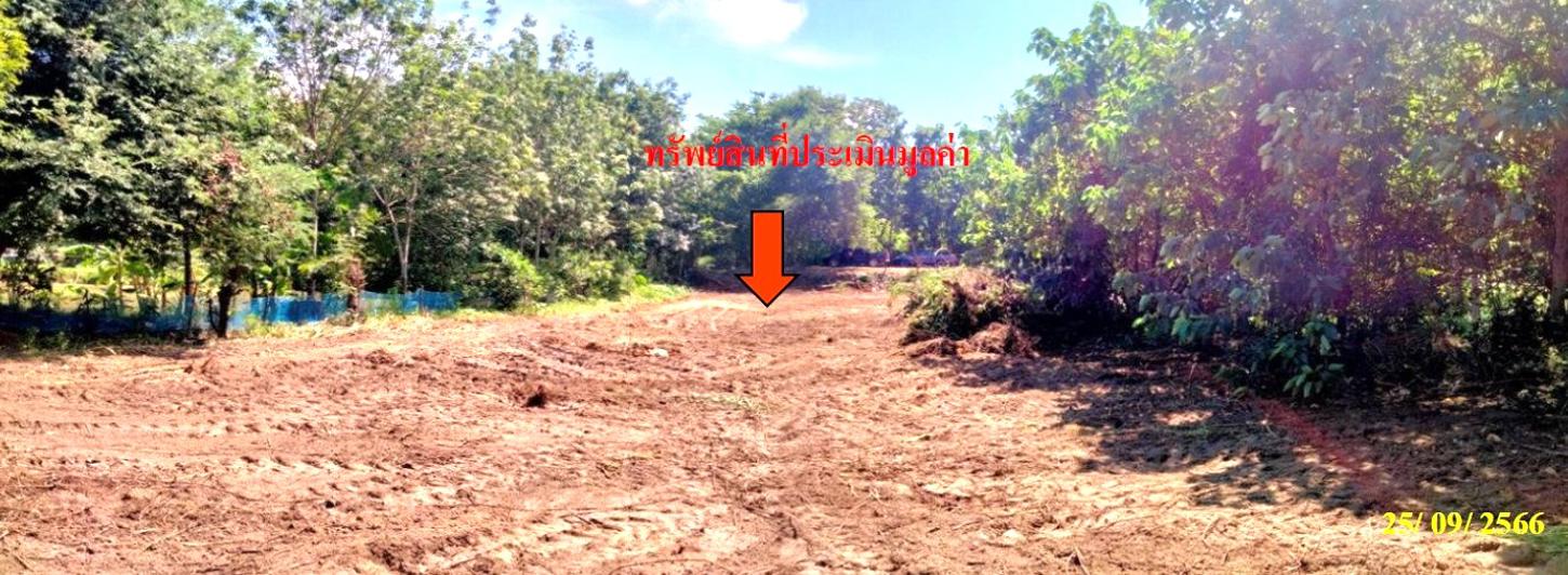 รูป ที่ดินว่างเปล่า 390.4 ตร.วา เมืองเลย เลย 1.4M - รูปที่ 13/17