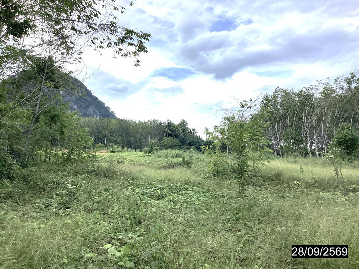 รูป ที่ดินว่างเปล่า 4000 ตร.วา หลังสวน ชุมพร 6.5M - รูปที่ 20/25