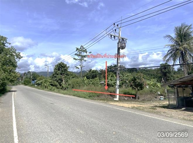 picture LAND 250 Sq.w. Hat Yai Songkhla for 1.9M - 2/25