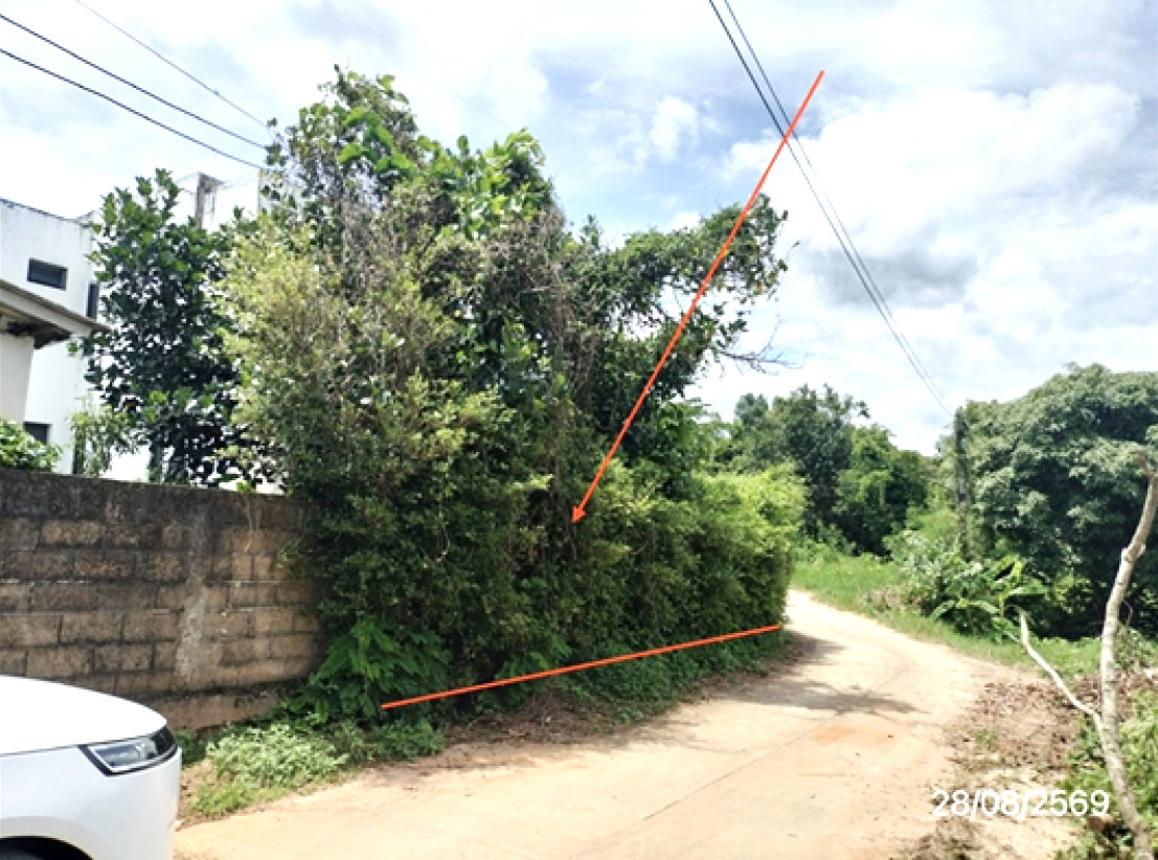 รูป บ้านเดี่ยว 135 ตร.วา เมืองเชียงราย เชียงราย 4.2M - รูปที่ 14/19