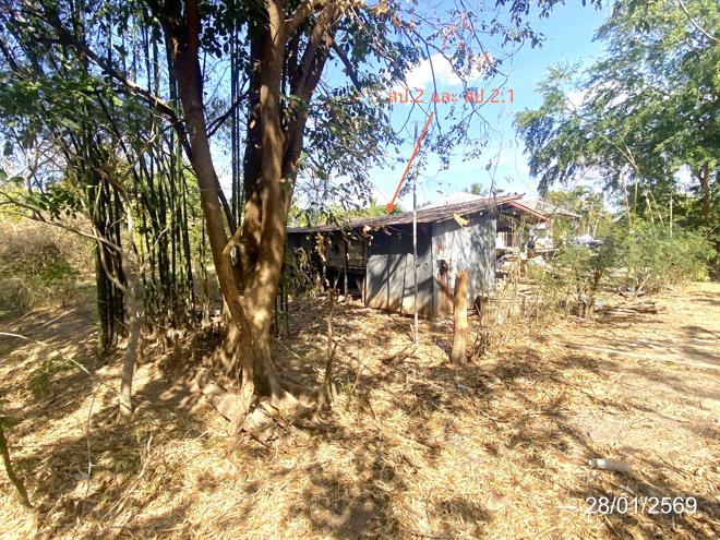 รูป บ้านเดี่ยว 1396 ตร.วา นาเชือก มหาสารคาม 3.2M - รูปที่ 5/25