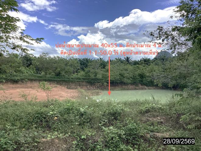 รูป ที่ดินว่างเปล่า 4000 ตร.วา หลังสวน ชุมพร 6.5M - รูปที่ 11/25