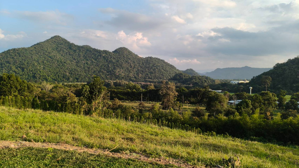 รูป ขายที่ดินบนเนินเขา เขาใหญ่ 2ไร่ เส้นธนะรัชต์ หมูสี หนองน้ำแดง ปากช่อง ที่สูงบนเนิน วิวเขาสวยมาก ทิวเขาสลับซับซ้อน เพชรเม็ดงาม น้ำไฟพร้อม ใกล้M6 ตลาด - รูปที่ 1/5