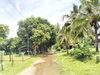 listing thumbnail image 12