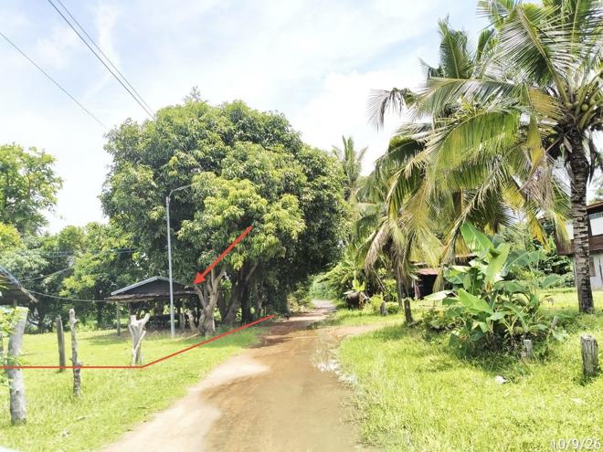 picture HOME 231 Sq.w. Bua Chet Surin for 509,000 - 13/29