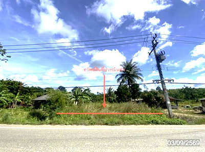 ที่ดินว่างเปล่า 250 ตร.วา หาดใหญ่ สงขลา 1.9M