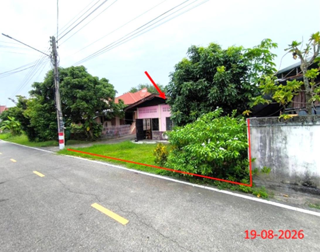 รูป บ้านเดี่ยว 160.6 ตร.วา ป่าซาง ลำพูน 1.2M - รูปที่ 8/13
