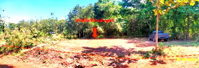 ที่ดินว่างเปล่า 390.4 ตร.วา เมืองเลย เลย 1.4M