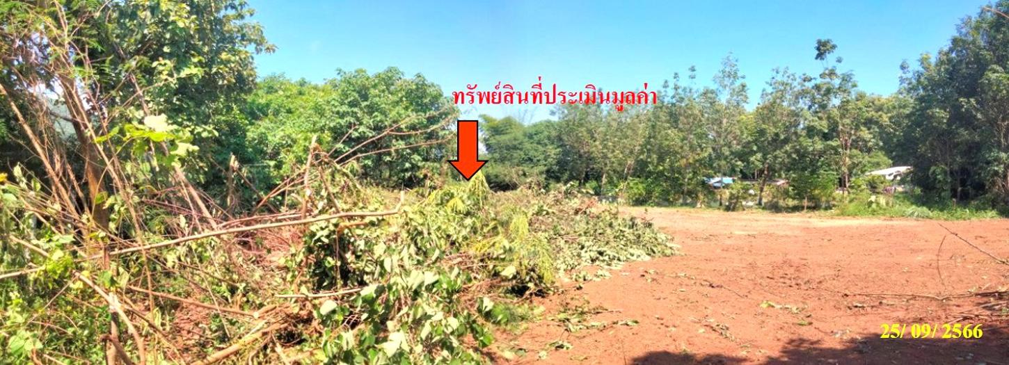รูป ที่ดินว่างเปล่า 390.4 ตร.วา เมืองเลย เลย 1.4M - รูปที่ 12/17