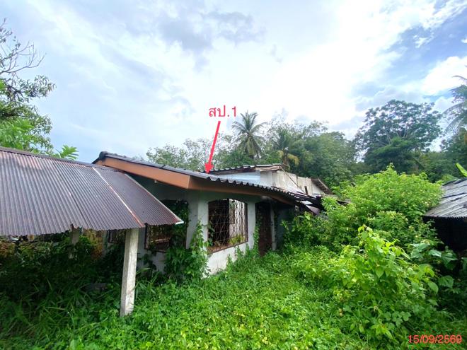 รูป บ้านเดี่ยว 281.7 ตร.วา ป่าบอน พัทลุง 1M - รูปที่ 4/35