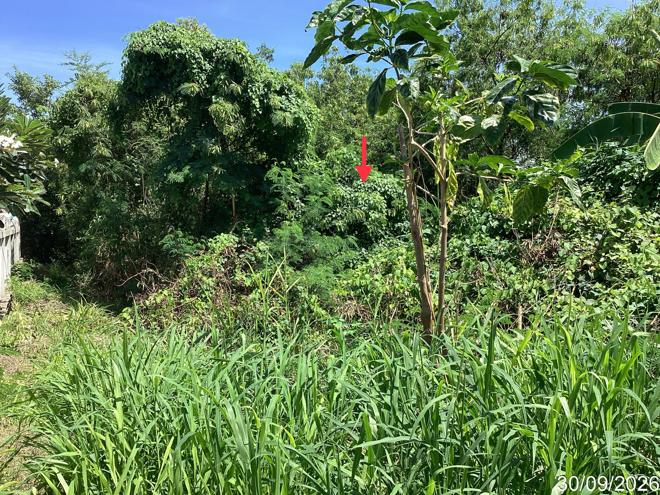 picture LAND 113 Sq.w. Hua Hin Prachaubkirikhan for 2.1M - 4/17