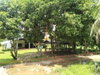 listing thumbnail image 13