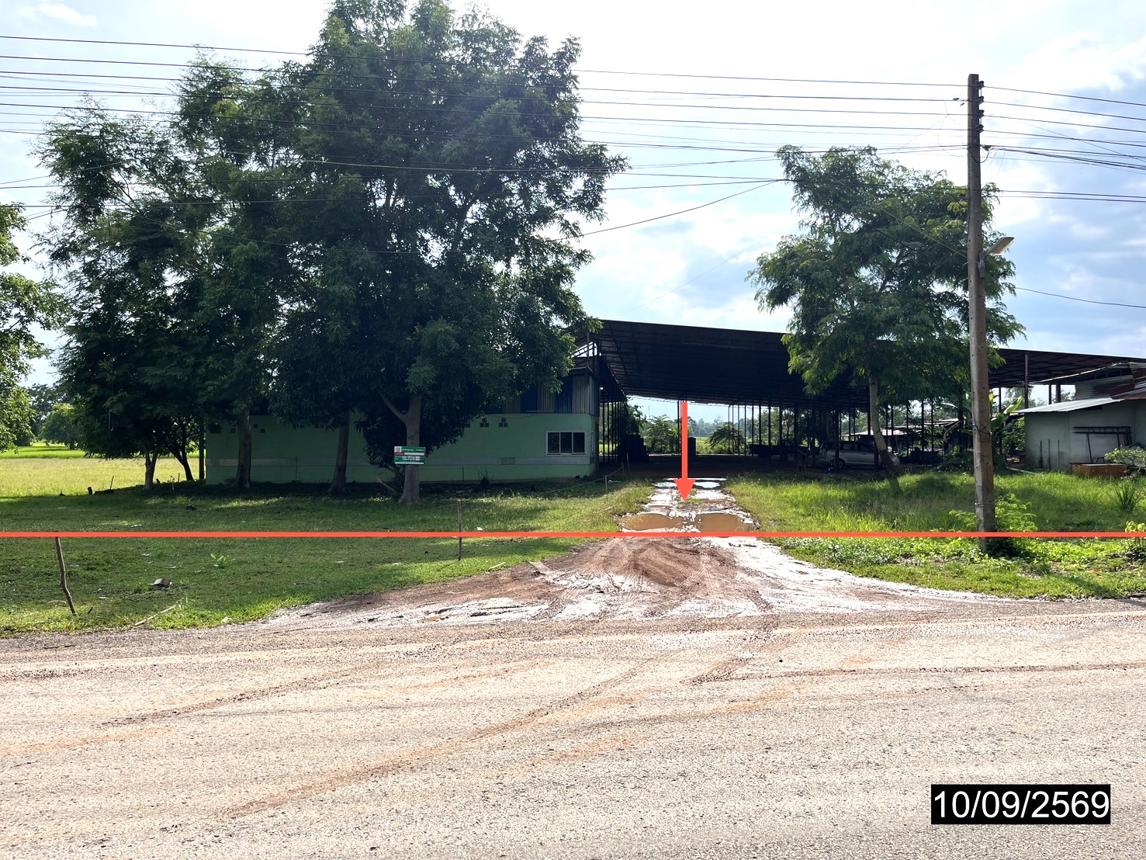รูป โกดัง 2613 ตร.วา ฆ้องชัย กาฬสินธุ์ 8.4M - รูปที่ 12/25