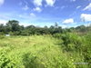 listing thumbnail image 18