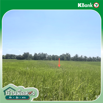 รูป ที่ดินว่างเปล่า 900 ตร.วา จังหาร ร้อยเอ็ด 1.6M - รูปที่ 11/13