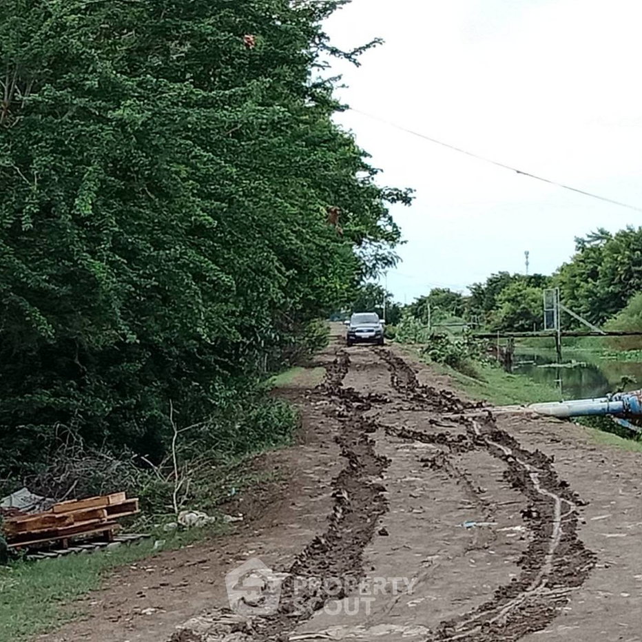 picture 16,000 m² Land for Sale in Bang Phriang (ID 3441169) - 2/3