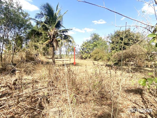 รูป บ้านเดี่ยว 1396 ตร.วา นาเชือก มหาสารคาม 3.2M - รูปที่ 9/25