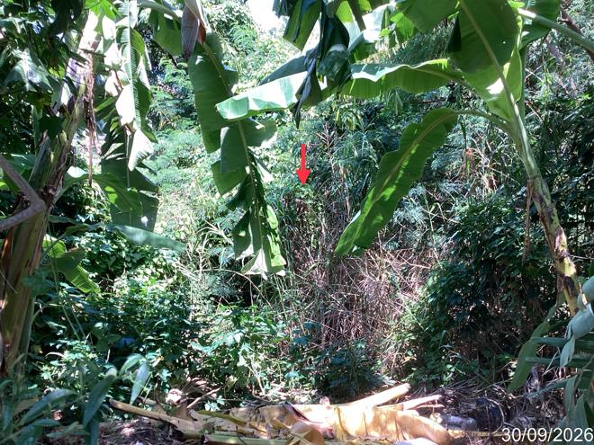 picture LAND 113 Sq.w. Hua Hin Prachaubkirikhan for 2.1M - 5/17