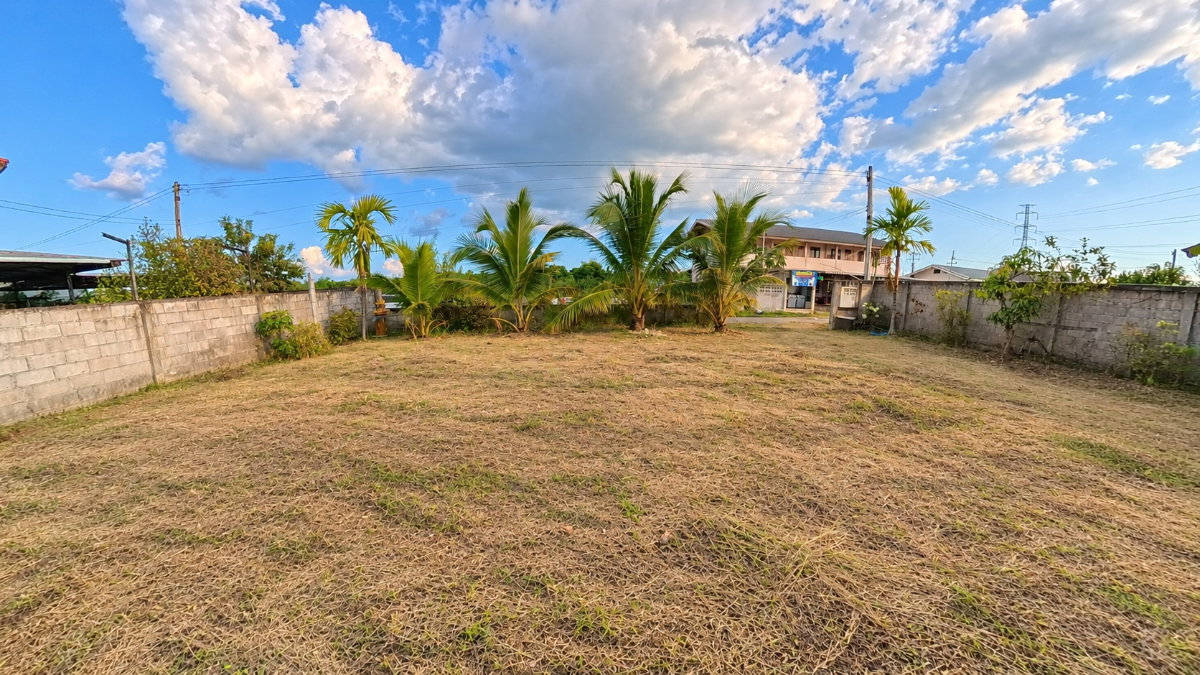 รูป 🏡 ขายที่ดินหนองแก๋ว หางดง เชียงใหม่ | 100 ตร.ว. เพียง 995,000 บาท!☎️ 080-128-5266 - รูปที่ 12/16