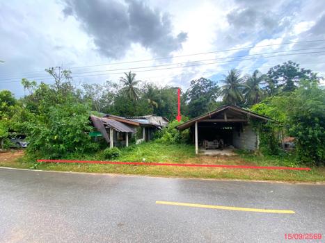 รูป บ้านเดี่ยว 281.7 ตร.วา ป่าบอน พัทลุง 1M - รูปที่ 32/35