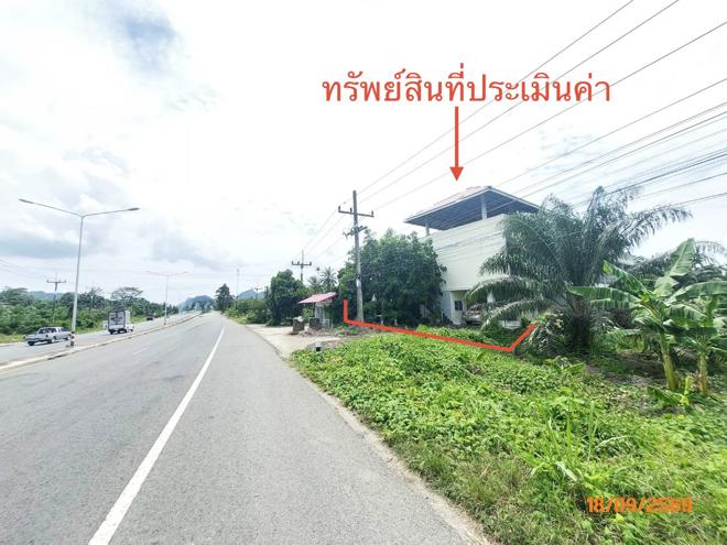 รูป บ้านเดี่ยว 94 ตร.วา ดอนสัก สุราษฎร์ธานี 6.3M - รูปที่ 4/39