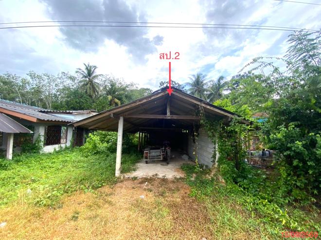 รูป บ้านเดี่ยว 281.7 ตร.วา ป่าบอน พัทลุง 1M - รูปที่ 15/35