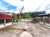 listing thumbnail image 12