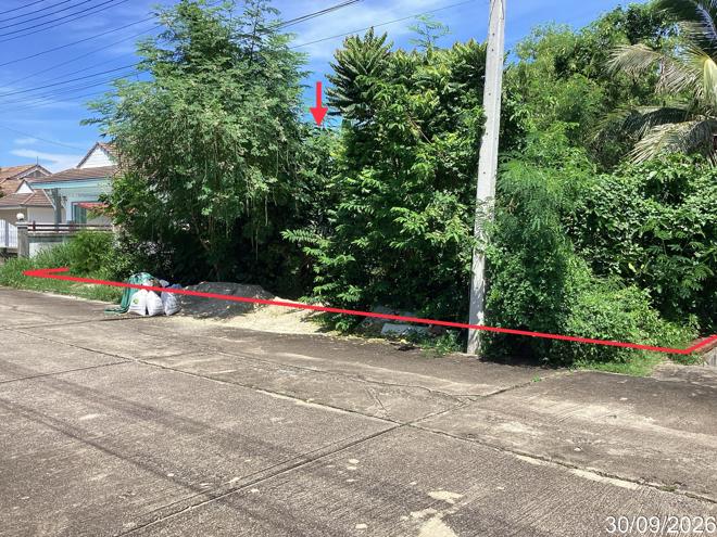picture LAND 113 Sq.w. Hua Hin Prachaubkirikhan for 2.1M - 2/17