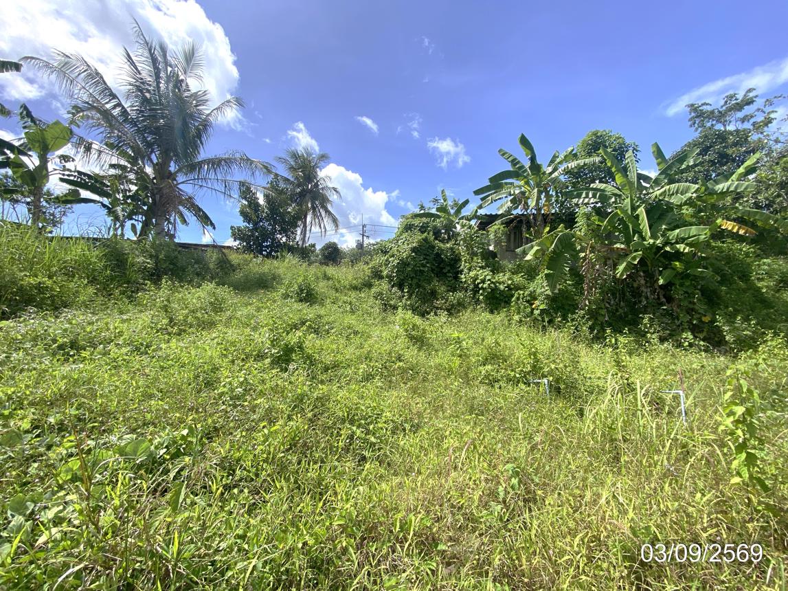 picture LAND 250 Sq.w. Hat Yai Songkhla for 1.9M - 20/25