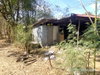 listing thumbnail image 16