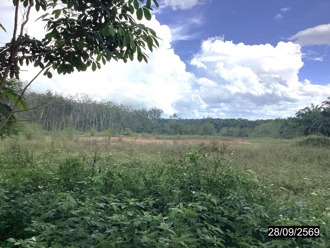 รูป ที่ดินว่างเปล่า 4000 ตร.วา หลังสวน ชุมพร 6.5M - รูปที่ 14/25