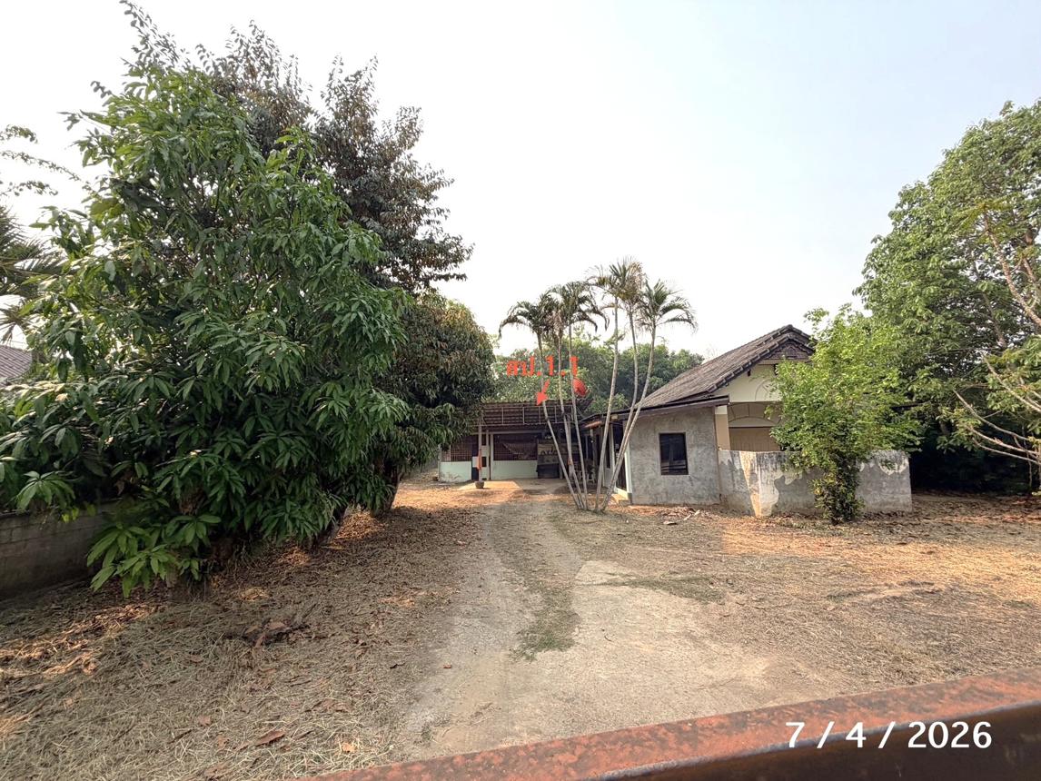 รูป บ้านเดี่ยว 716 ตร.วา แม่ริม เชียงใหม่ 7.5M - รูปที่ 13/25